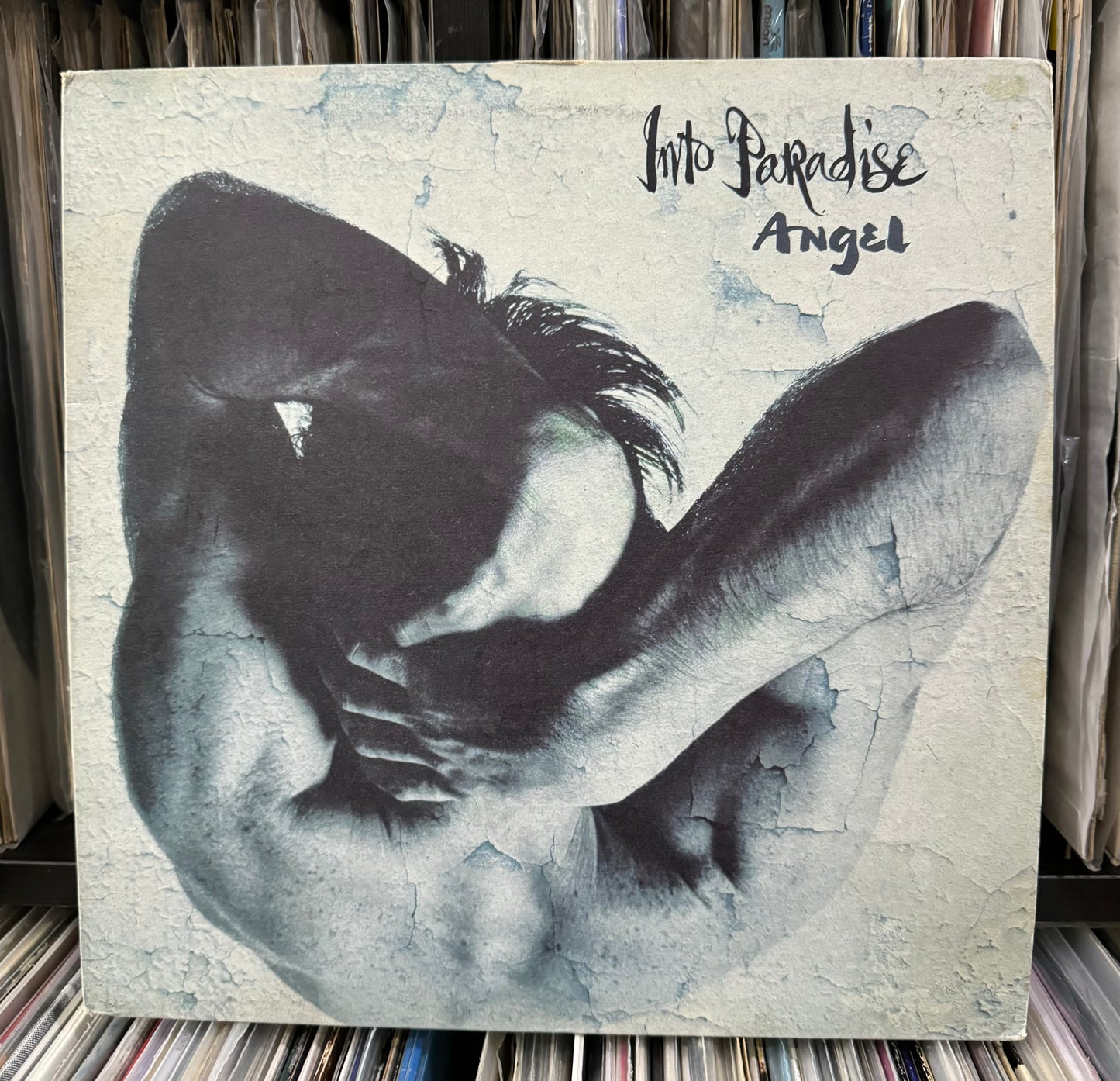 Into Paradise - Angel (12")