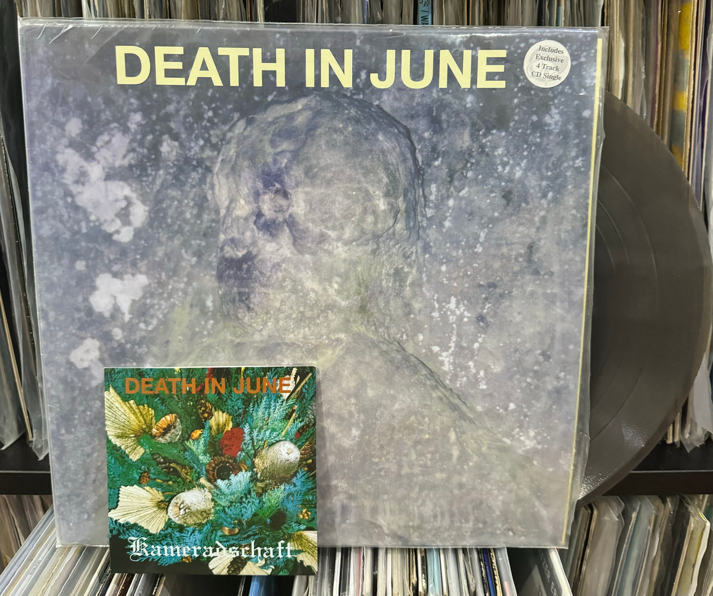Death In June - Take Care And Control (LP + CD)
