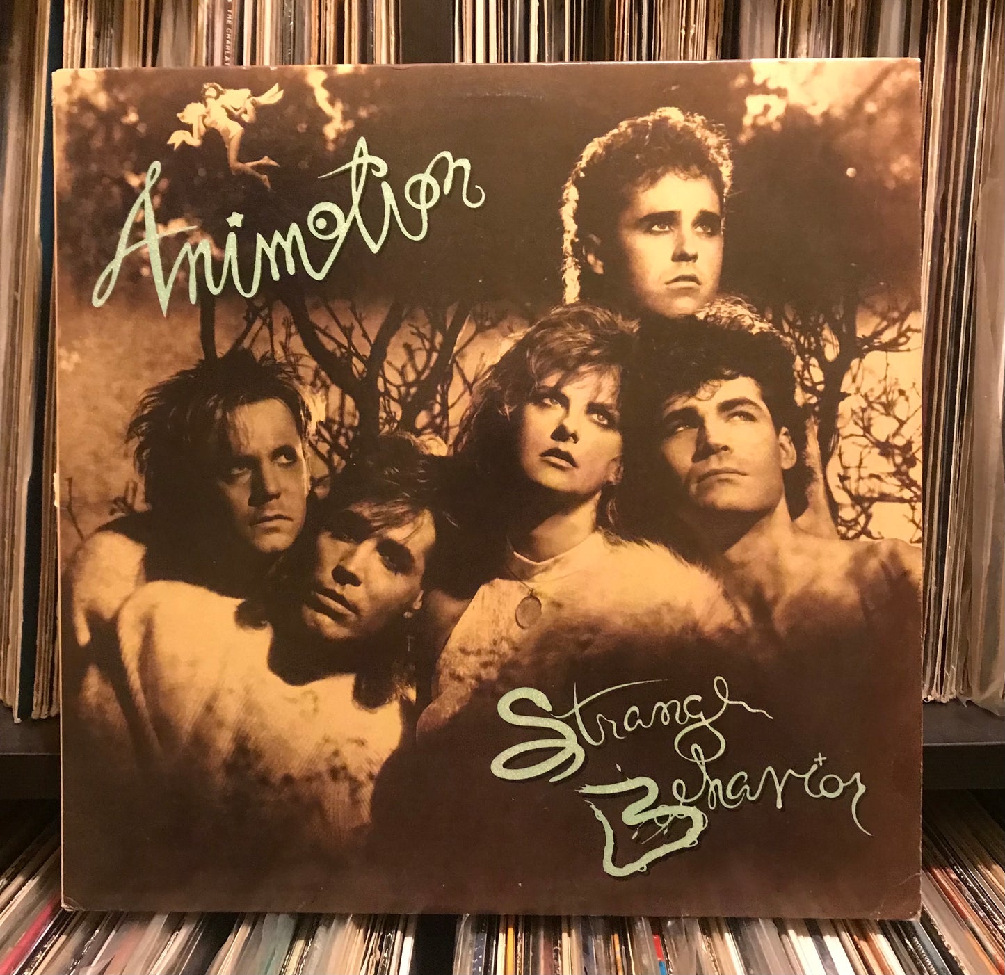 Animotion - Strange Behavior (LP)