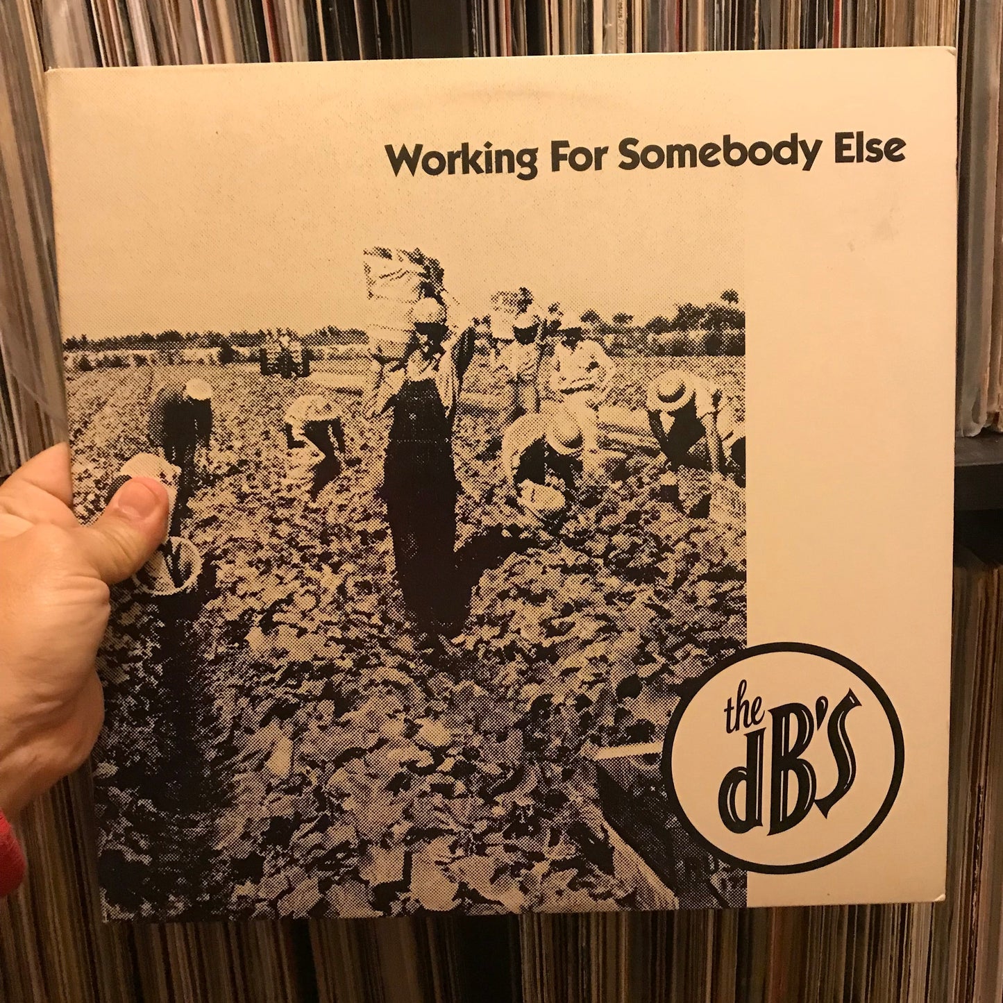 The dB's - Working For Somebody Else (12")