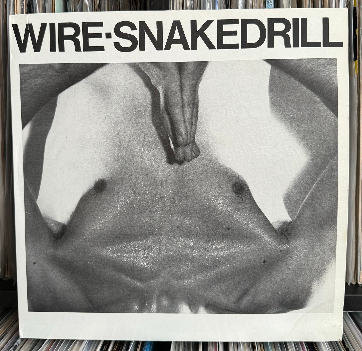 Wire - Snakedrill (12")