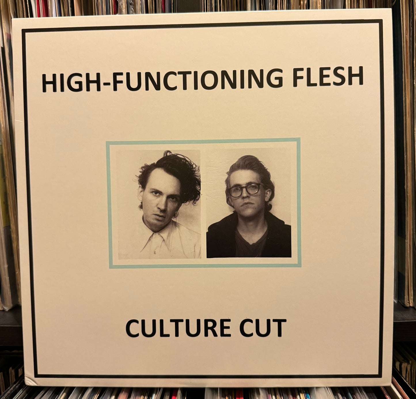 High-Functioning Flesh - Culture Cut (LP)