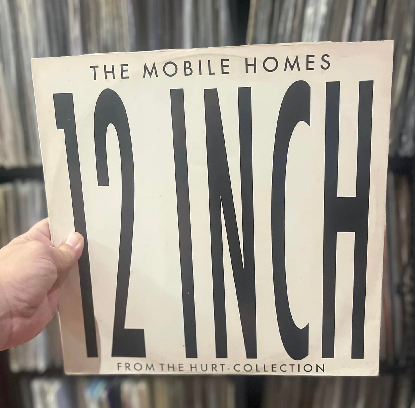 The Mobile Homes - Something Better (12")