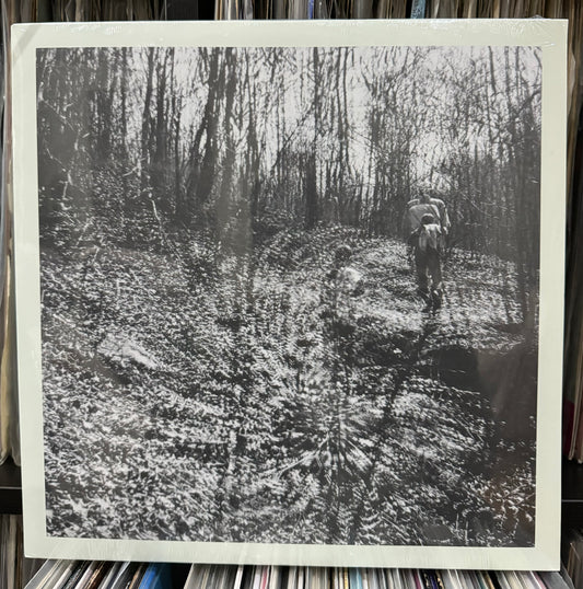 Topographies - Interior Spring (LP)