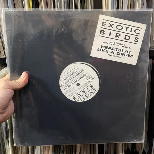 Exotic Birds - Heartbeat Like A Drum (12")