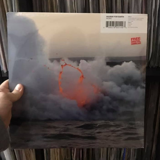 Hooray For Earth - Momo (12")