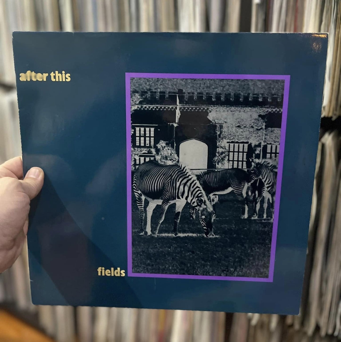 After This - Fields / Hollow Hills (12")
