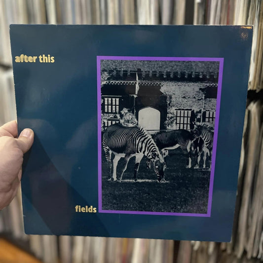 After This - Fields / Hollow Hills (12")