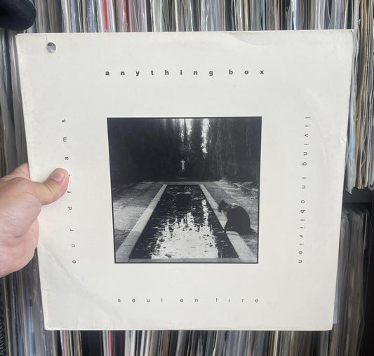 Anything Box - Soul On Fire (12")
