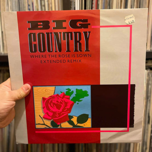 Big Country - Where The Rose Is Sown (Extended Remix) (12")