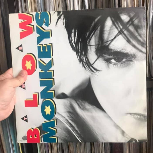 The Blow Monkeys - It Doesn't Have To Be This Way (Long) (12")