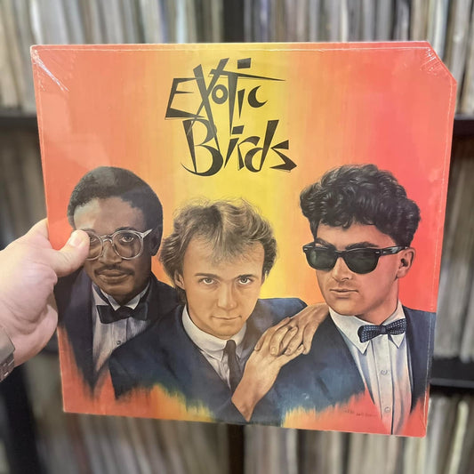 Exotic Birds – Exotic Birds 12"