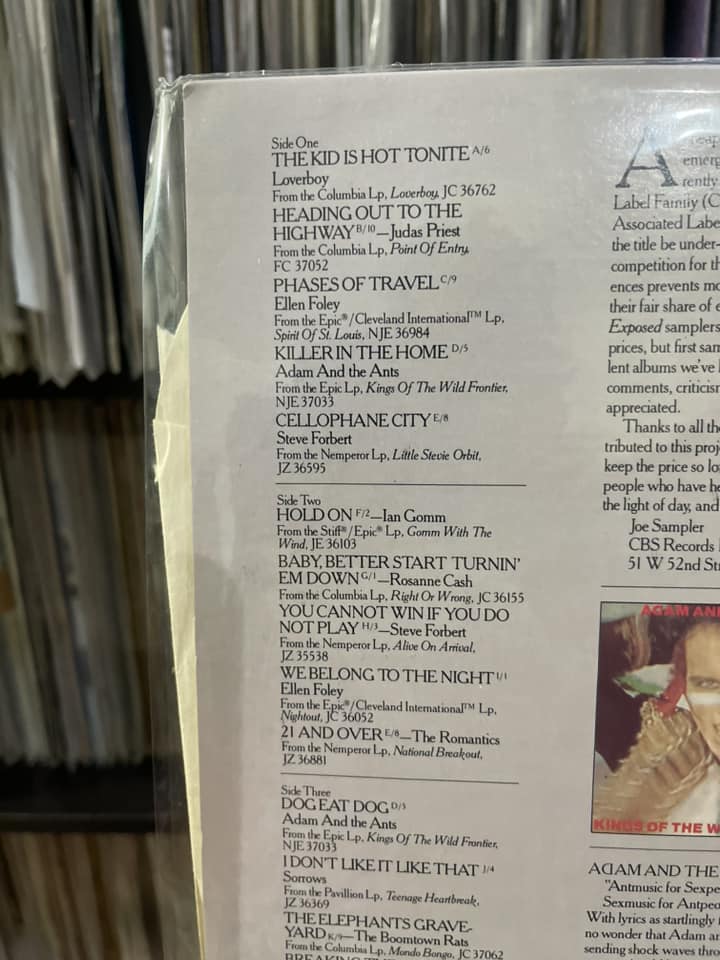 Exposed: A Cheap Peek At Today's Provocative New Rock (2xLP, Comp)