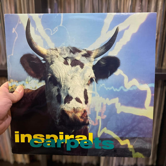 Inspiral Carpets - Commercial Rain (12")