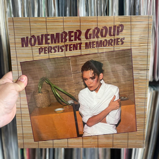 November Group - Persistent Memories (12")