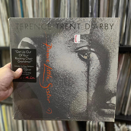 Terence Trent D'Arby - Dance Little Sister (12")